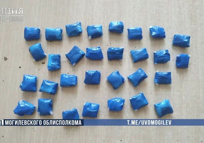 Дуэт наркодилеров из Бобруйска задержали с поличным в Могилевском районе
