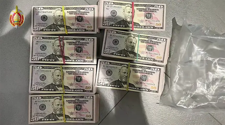 Около 900 тысяч долларов выманили у минчанина аферисты под предлогом инвестиций в компьютерную игру. Скриншот видео МВД