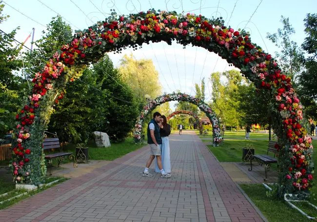 Для прогулок и фотографирования: в могилевском парке Подниколье установили цветочную аркаду. Фотофакт