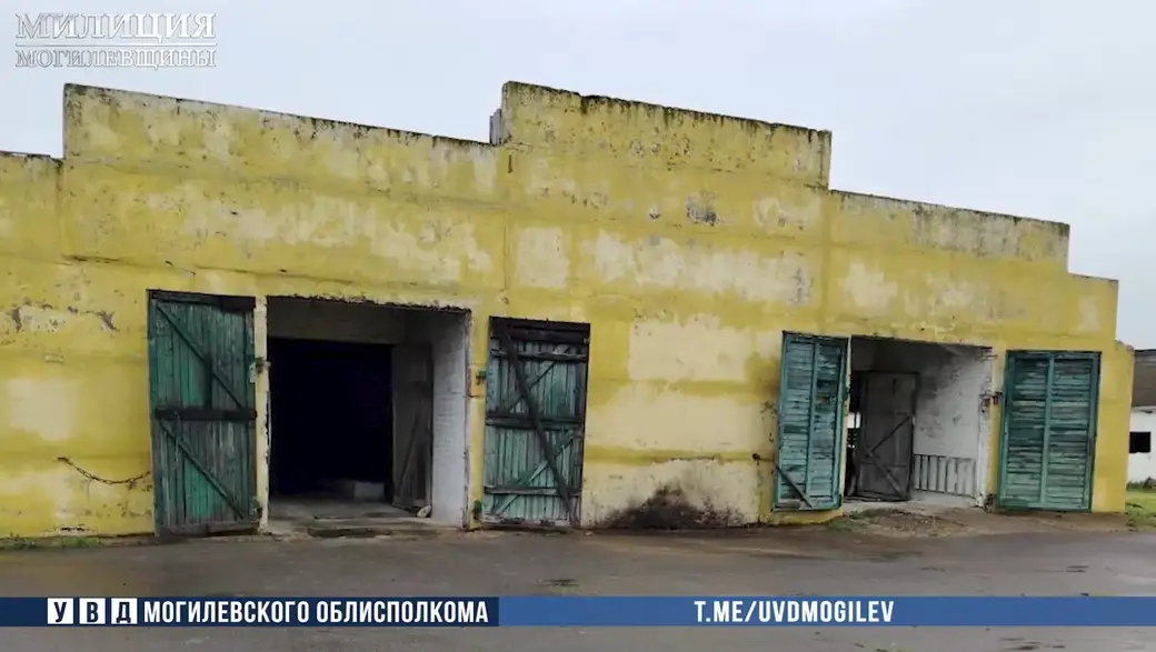 В Кричевском районе на комплексе по откорму КРС недосчитались 59 коров