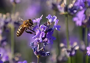 Ветрено и преимущественно без дождей: какой будет погода в Могилеве в четверг 26 июня