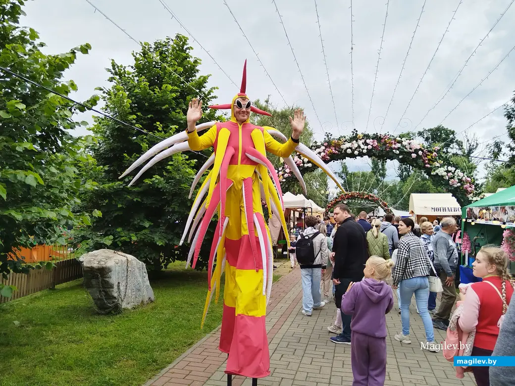 28.06.2025 г. Могилев. День города. Парк Подниколье.
