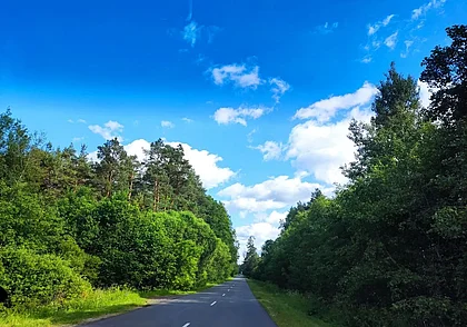 Ветрено, небольшие дожди и до +22°С: какой будет погода в Могилеве в первый день июля