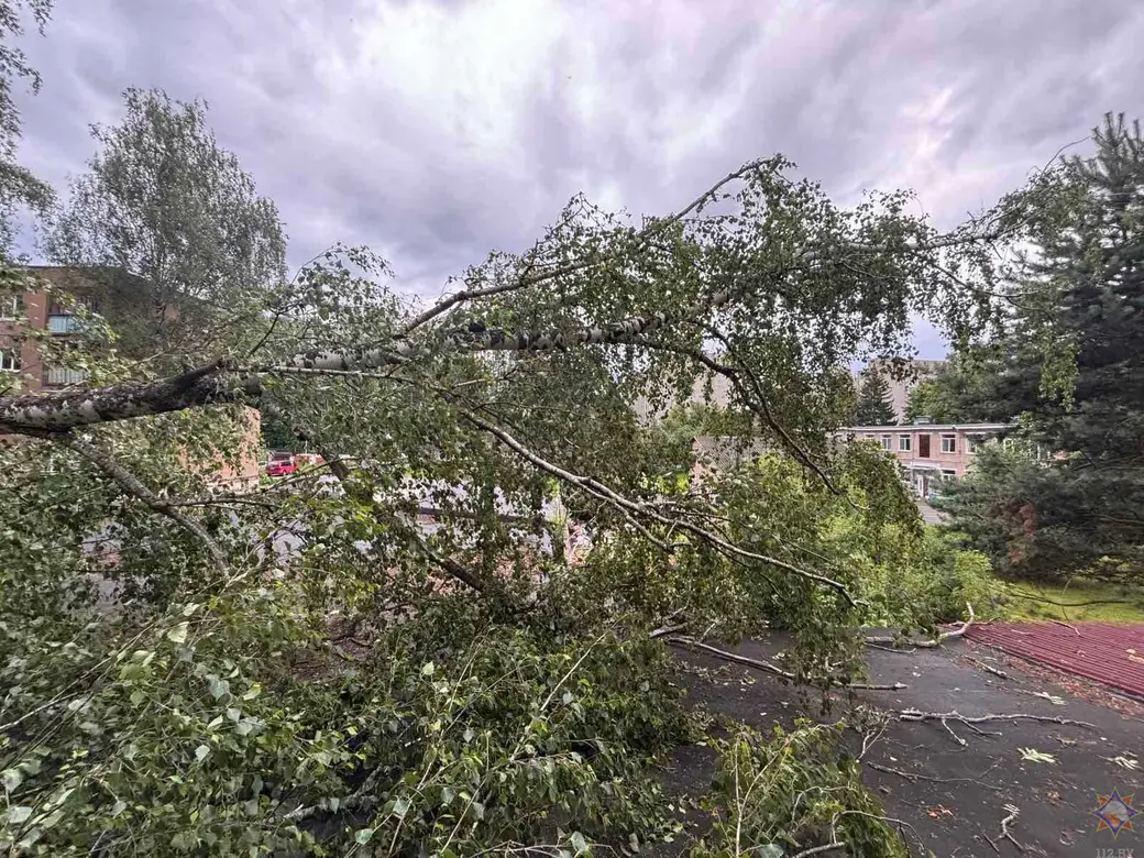 30.06.2025 г. Фото: Могилевское областное УМЧС
