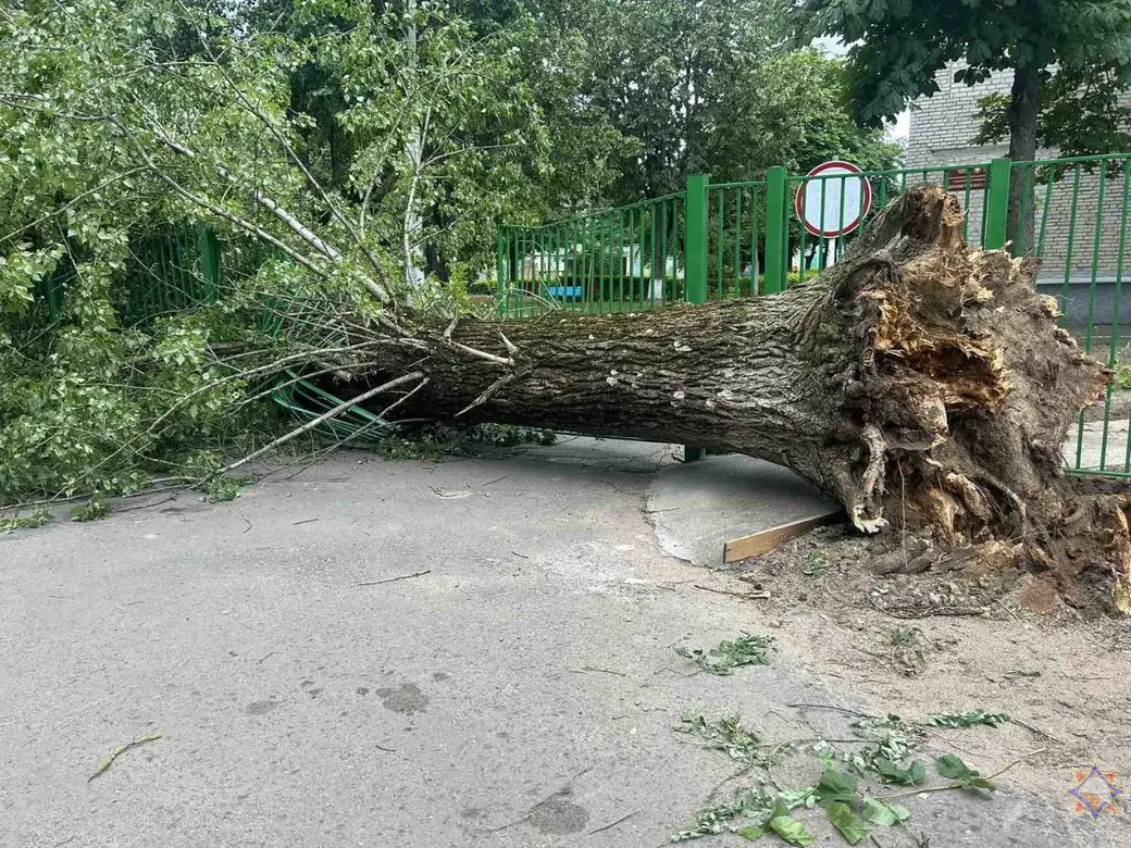 30.06.2025 г. Фото: Могилевское областное УМЧС