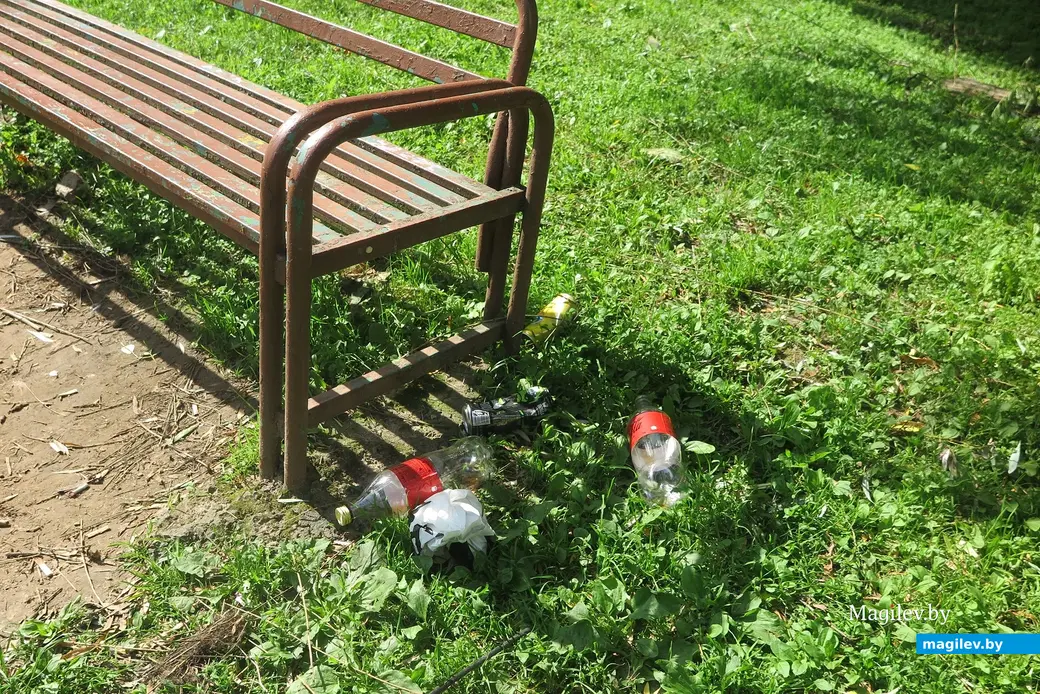 1.07.2025 г. Могилев. Дворовая территория.