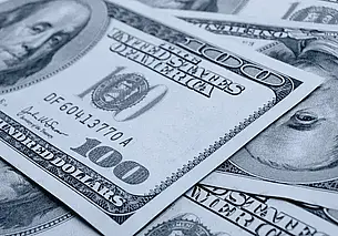 В Беларуси стали чаще подделывать доллары