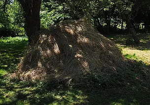 Скосили траву на участке – сделайте из нее укрытие для грядок