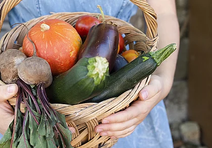 Дачников ждут изменения в налогообложении доходов от подсобного хозяйства