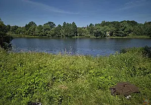 Хотел нарвать водяных лилий: в Климовичском районе утонул мужчина