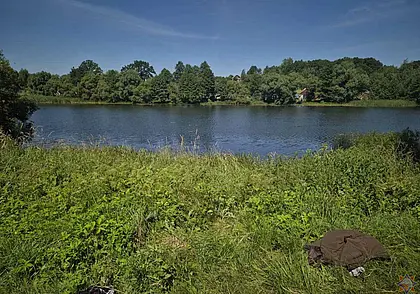 Хотел нарвать водяных лилий: в Климовичском районе утонул мужчина