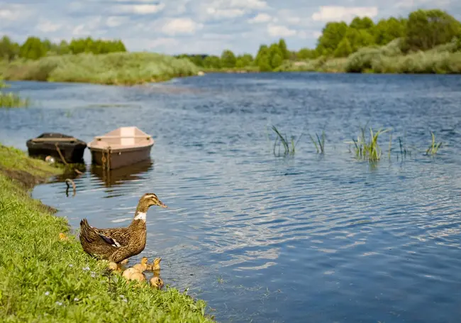 Без дождей и до +27°Ϲ: какой будет погода в Могилеве в воскресенье, 6 июля