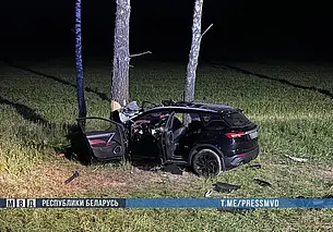 Под Минском легковушка столкнулась с лосем: два человека погибли, трое в больнице