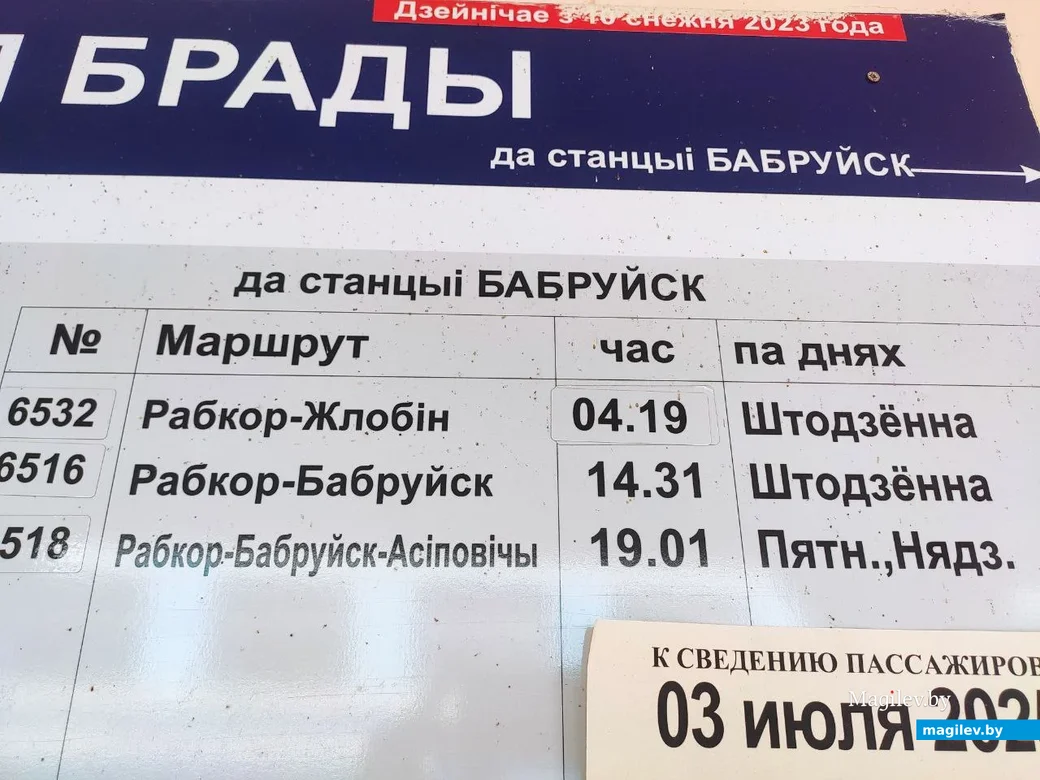  Фото автора. 
