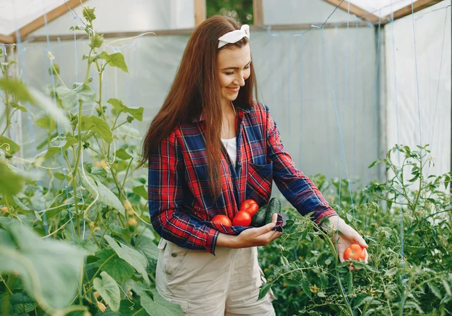 Как бороться с конденсатом и плесенью внутри теплицы