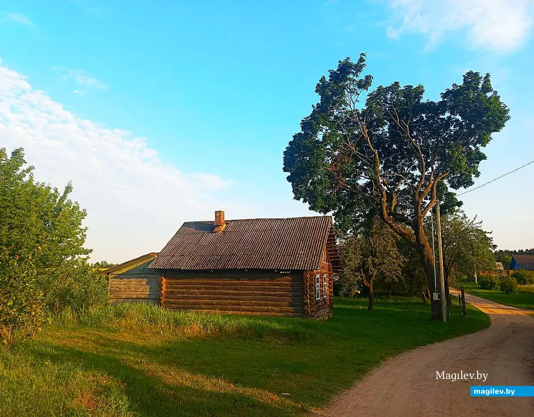 08.07.2025, агрогородок Евдокимовичи. Улица Садовая.