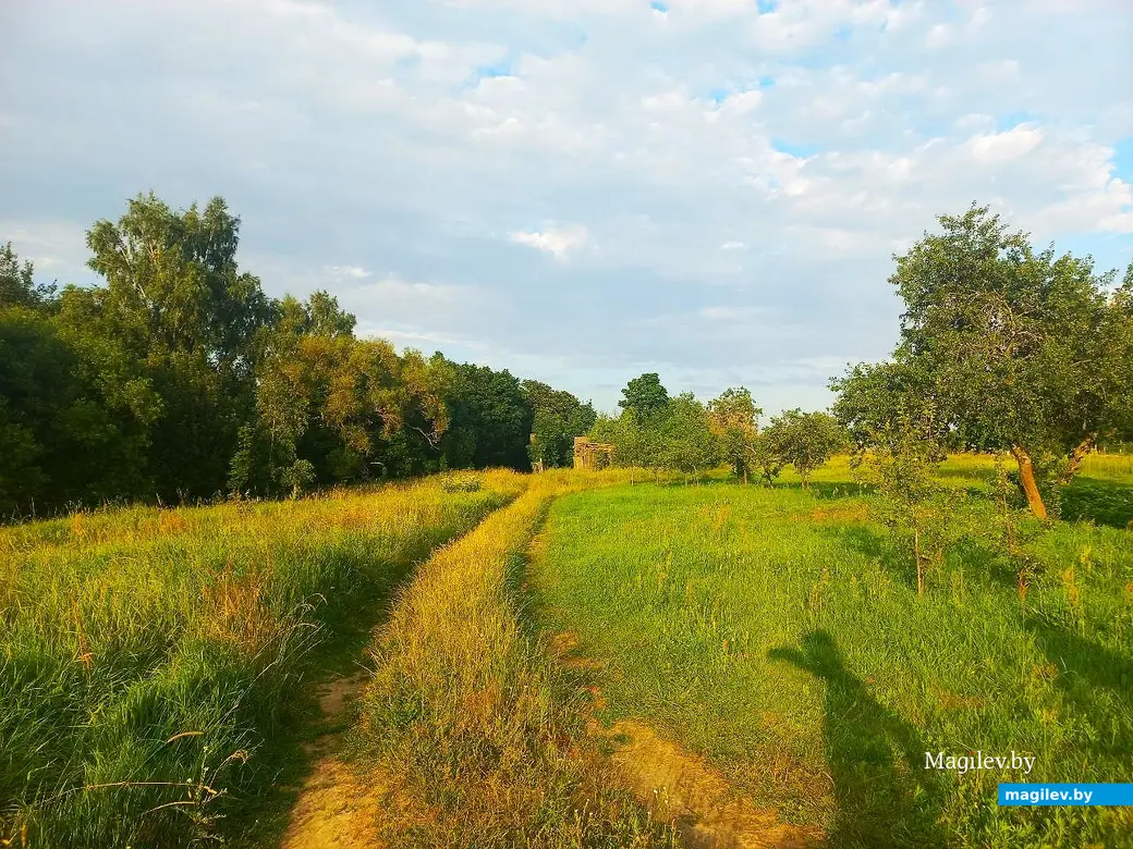 08.07.2025, агрогородок Евдокимовичи. Улица Садовая.
