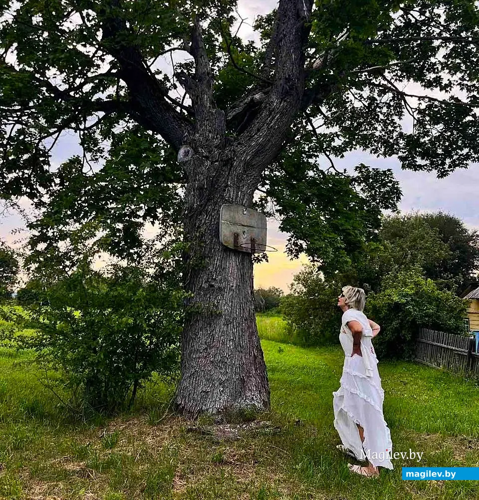 08.07.2025, агрогородок Евдокимовичи. Улица Садовая.