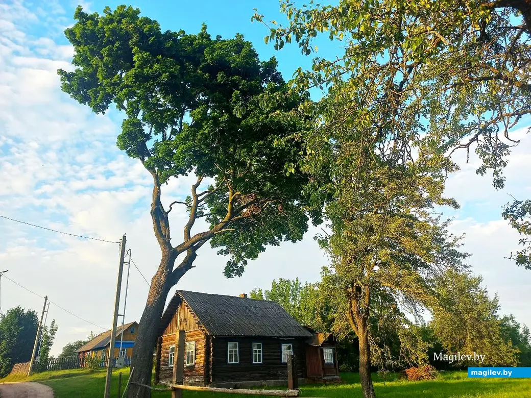 08.07.2025, агрогородок Евдокимовичи. Улица Садовая.