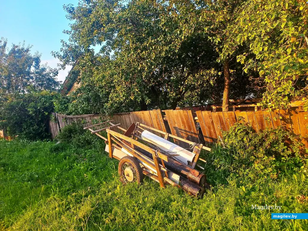 08.07.2025, агрогородок Евдокимовичи. Улица Садовая.