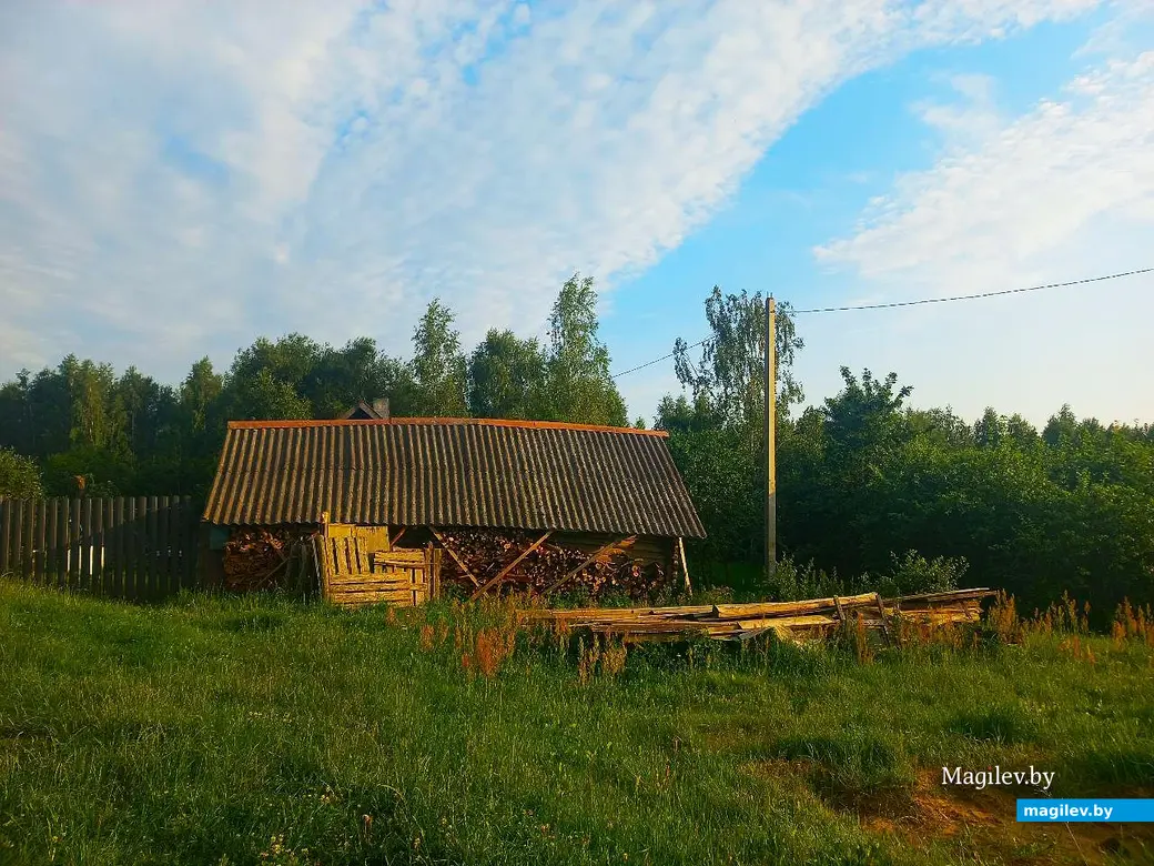 08.07.2025, агрогородок Евдокимовичи. Улица Садовая.
