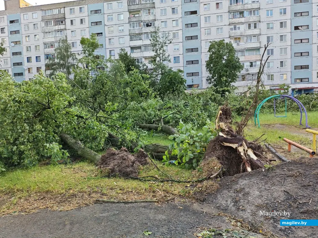 10.07.2025 г. Могилев, бульвар Непокоренных
