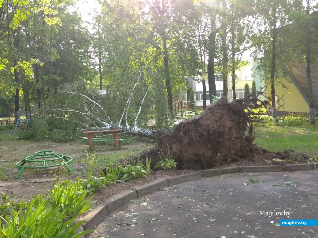 10.07.2025 г. Могилев, район Техноприбора