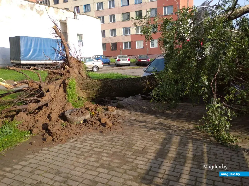 10.07.2025 г. Могилев, район Техноприбора