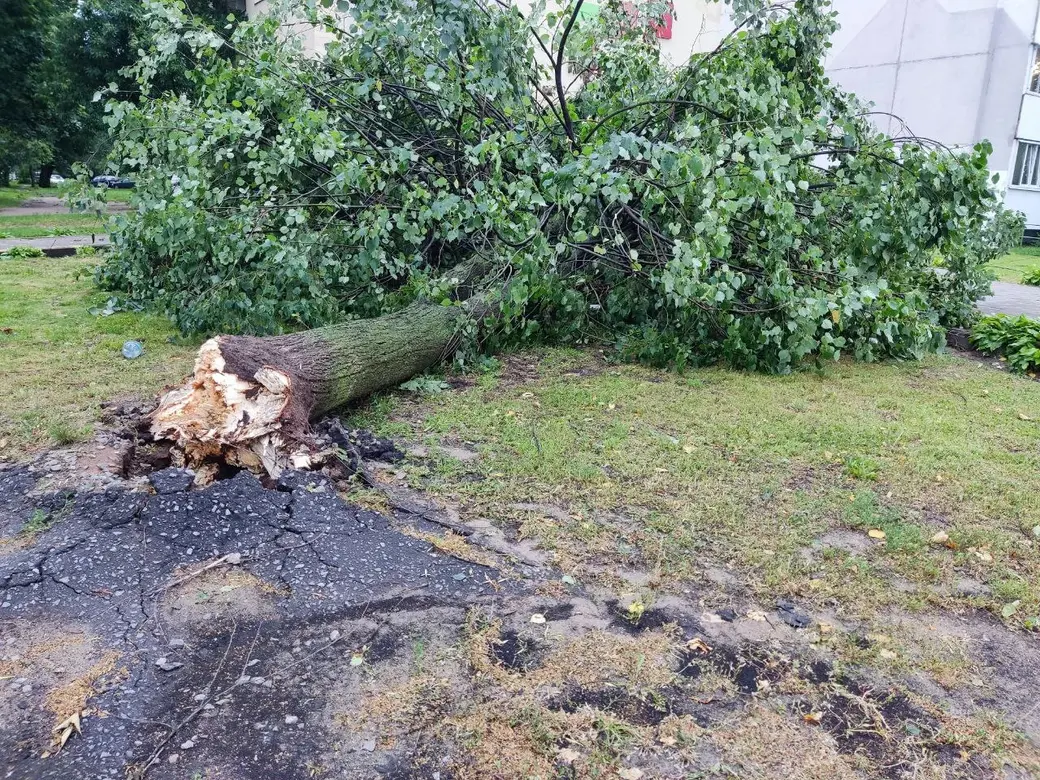 10.07.2025 г. Могилев, ул. Симонова.