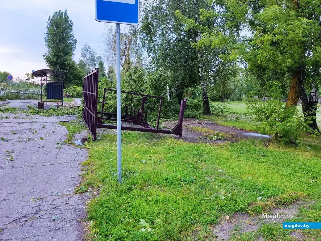 10.07.2025 г. Могилев, ул. Симонова.