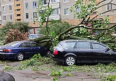 «Не понимаю, как соседи выбегали на улицу «смотреть» ураган: это же апокалипсис!» Жизнь глазами могилевчан