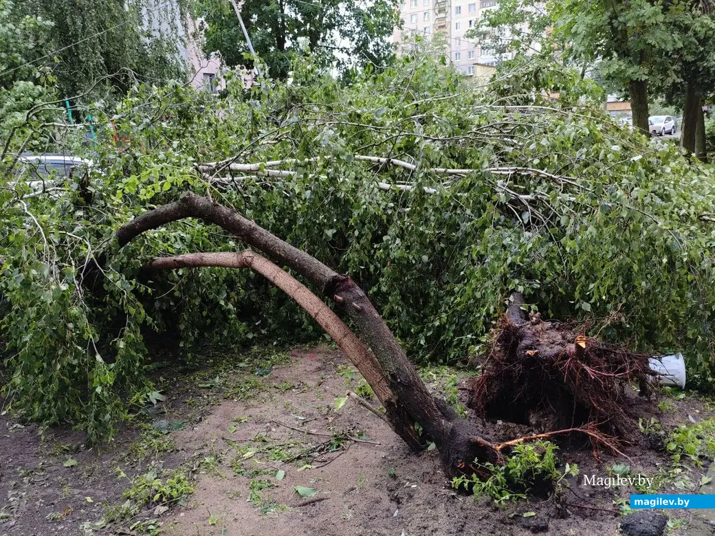 10.07.2025 г. Могилев, пр. Шмидта