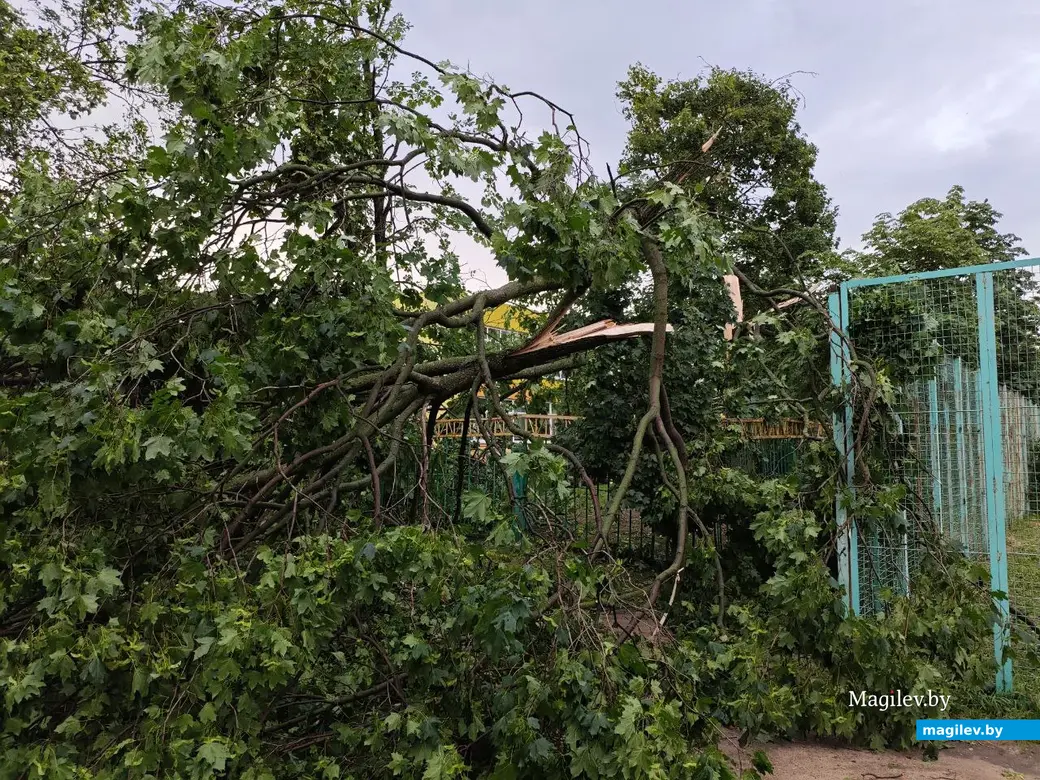 10.07.2025 г. Могилев, пр. Шмидта