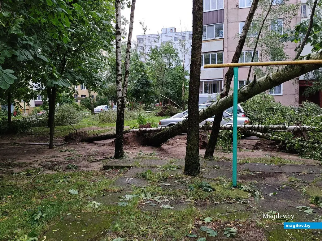 10.07.2025 г. Могилев, пр. Шмидта