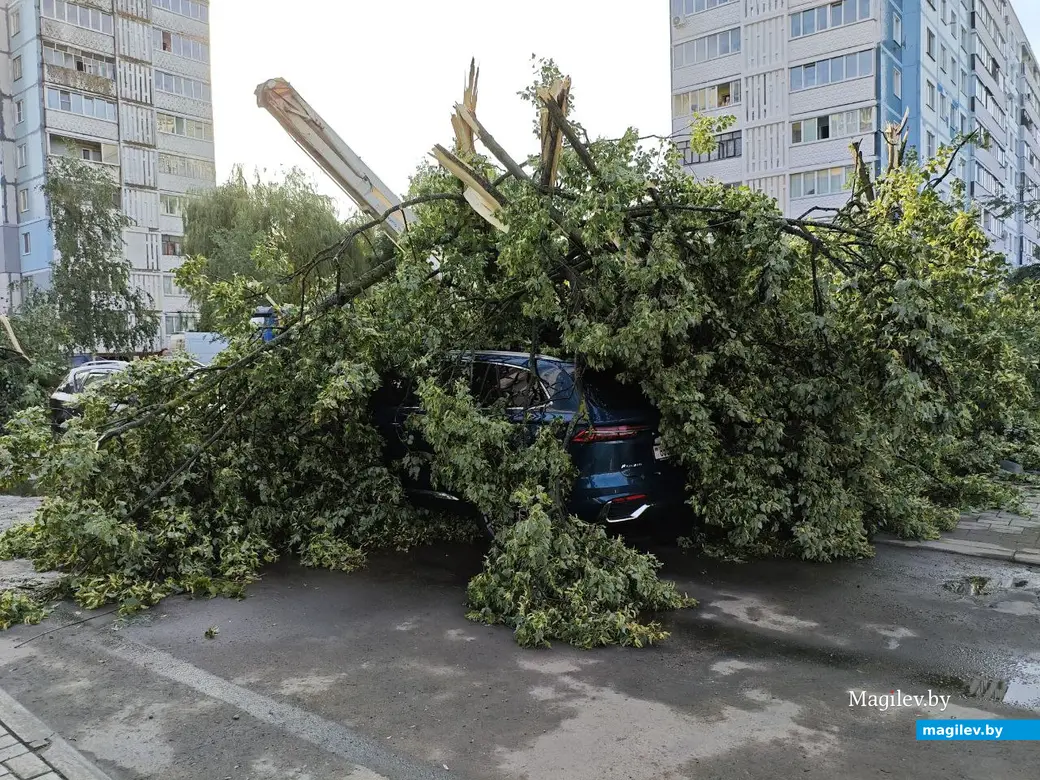 10.07.2025 г. Могилев, бульвар Непокоренных