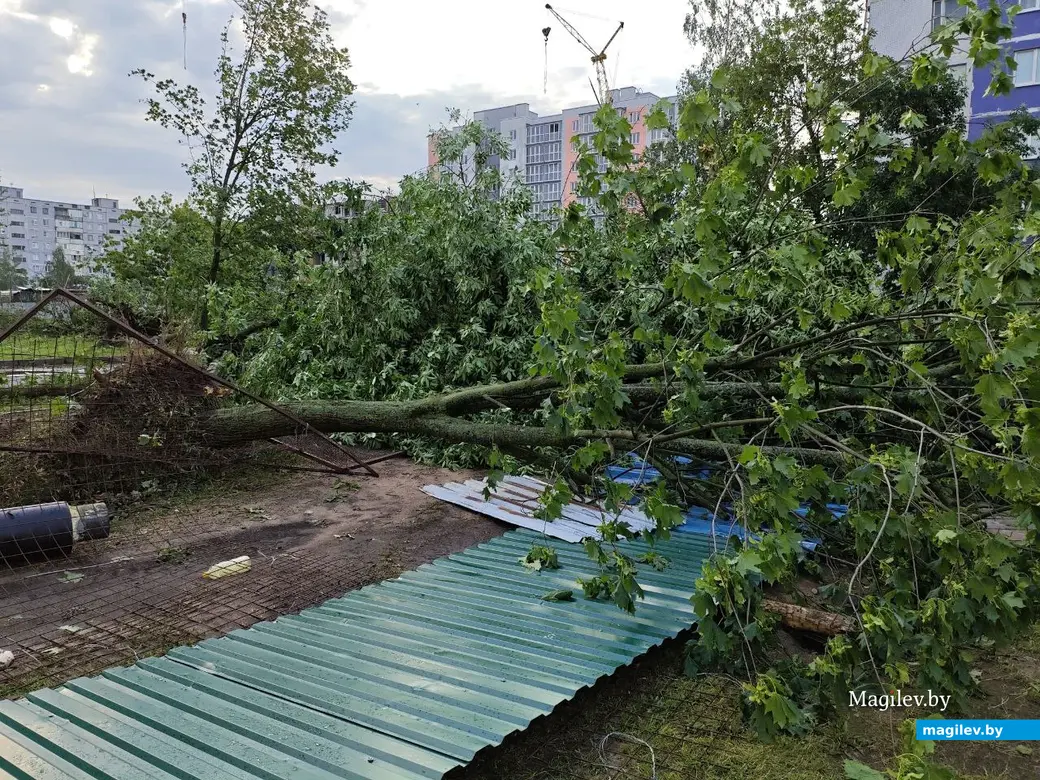 10.07.2025 г. Могилев, бульвар Непокоренных