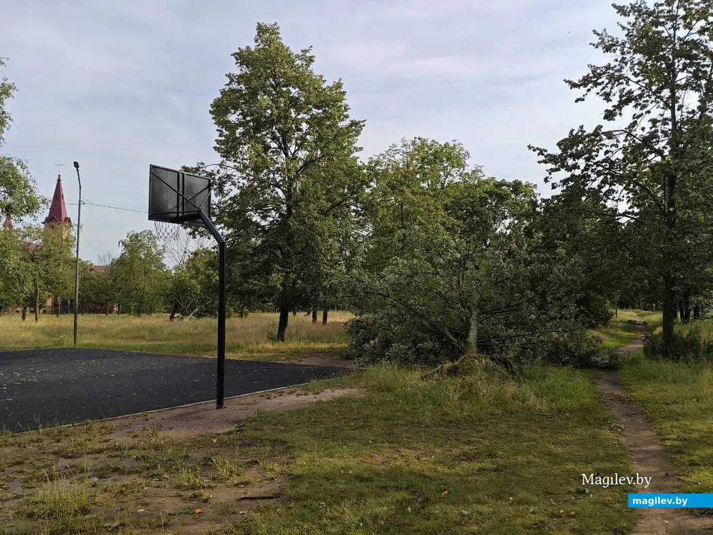 10 июля 2025 года. Могилев. Парк возле Святого озера.