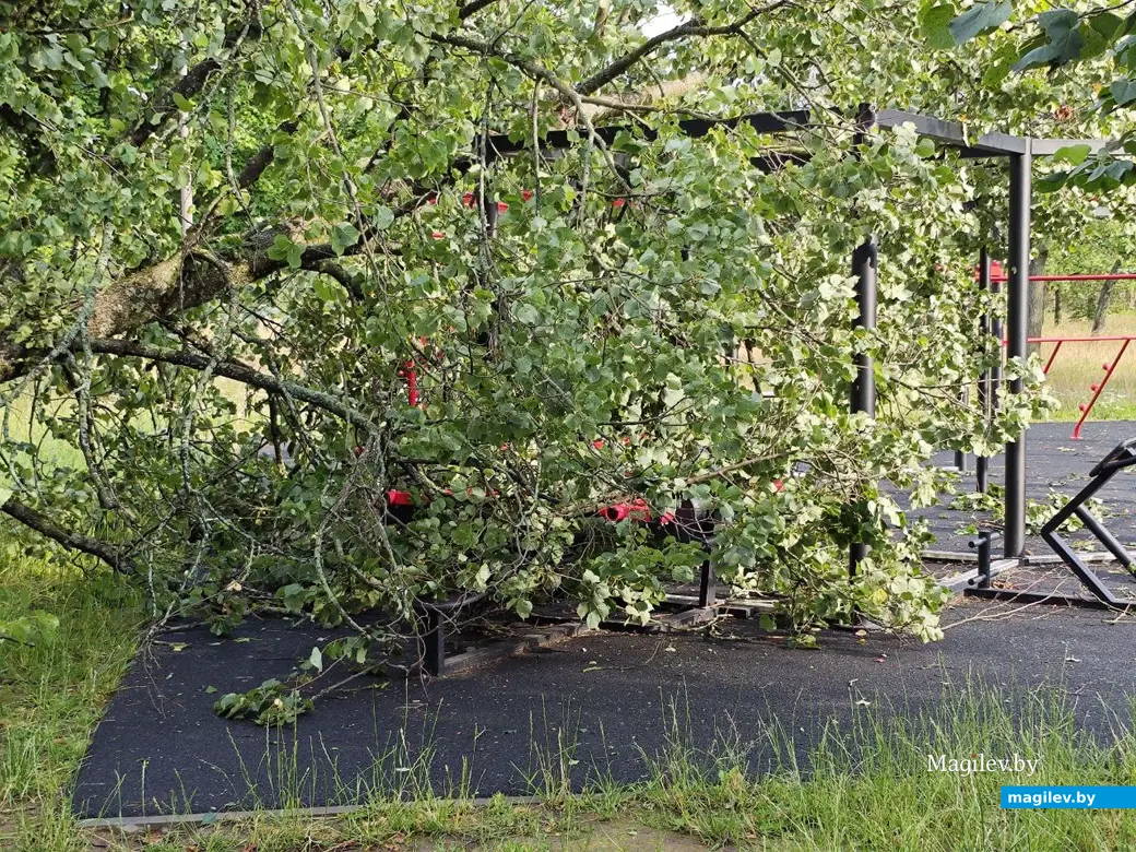 10 июля 2025 года. Могилев. Парк возле Святого озера.