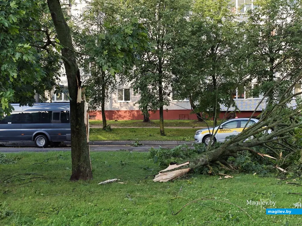 10 июля 2025 года. Могилев. Бульвар Непокоренных.