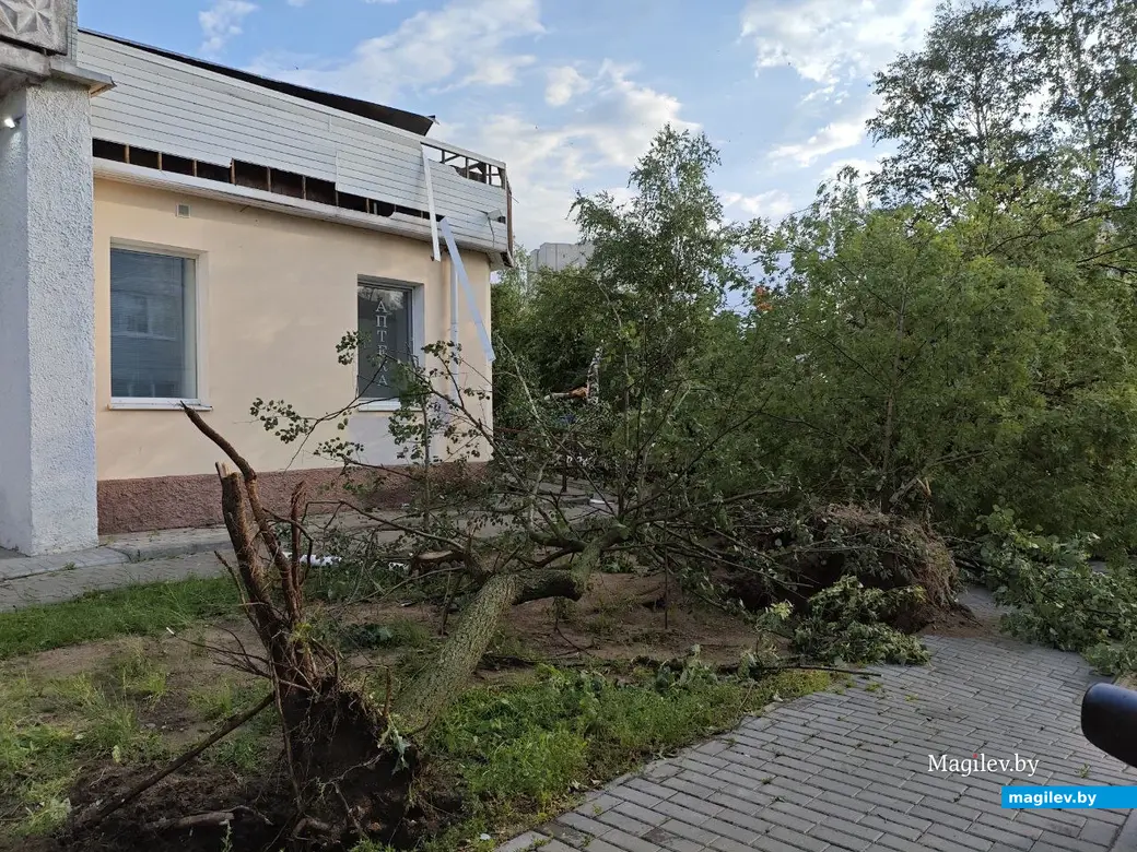 10 июля 2025 года. Могилев. Бульвар Непокоренных.