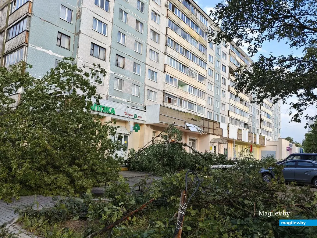 10 июля 2025 года. Могилев. Бульвар Непокоренных.