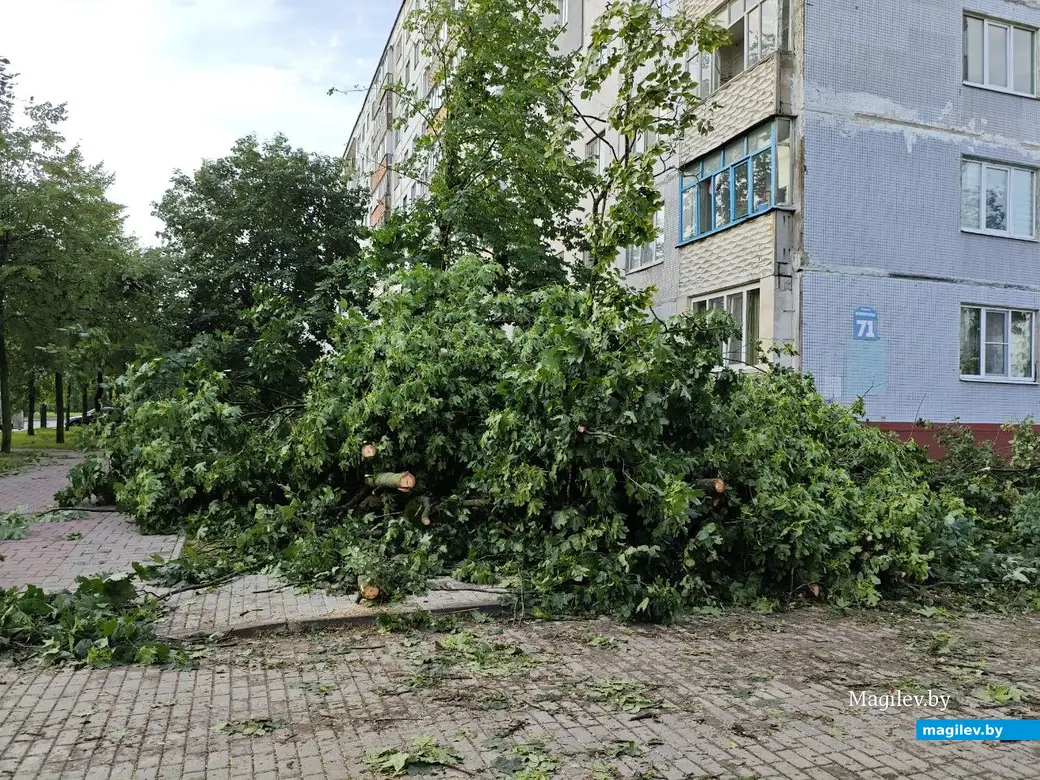 10 июля 2025 года. Могилев. Бульвар Непокоренных.