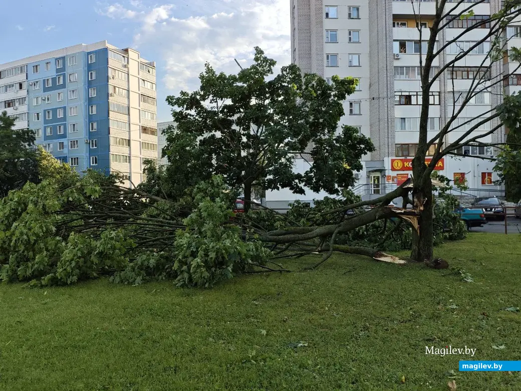 10 июля 2025 года. Могилев. Бульвар Непокоренных.