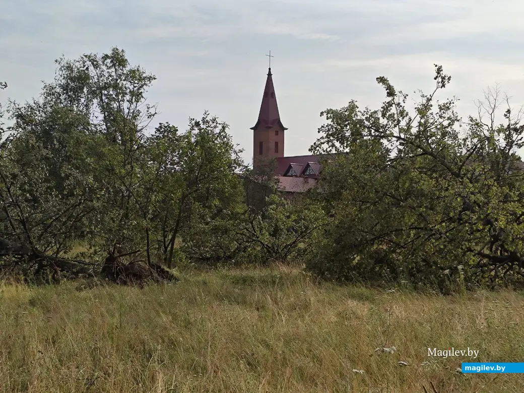10 июля 2025 года. Могилев. Парк возле Святого озера.