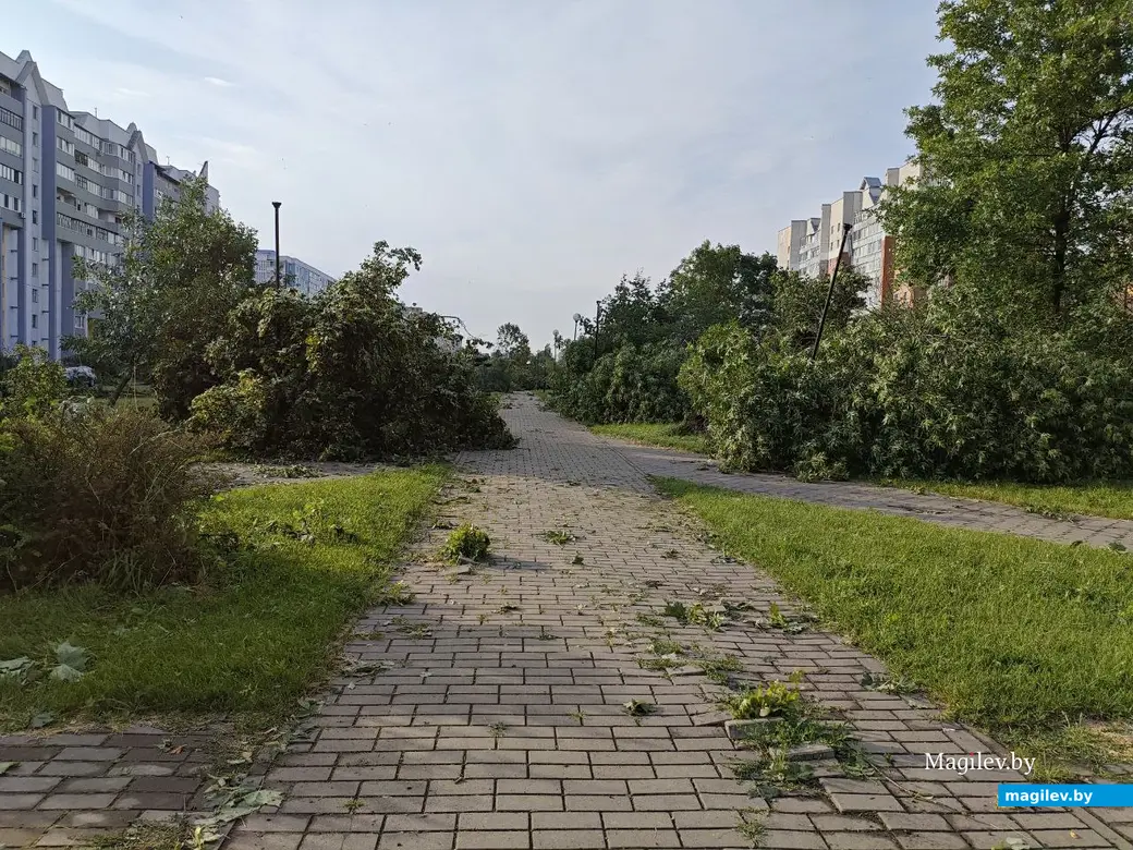 10 июля 2025 года. Могилев. Бульвар Непокоренных.