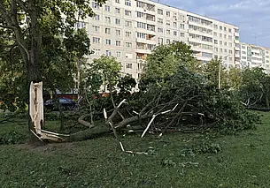 Ночной ураган в Могилеве: утро 10 июля на бульваре Непокоренных. Фоторепортаж