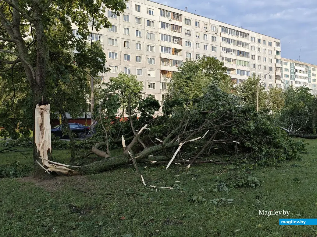 10 июля 2025 года. Могилев. Бульвар Непокоренных.