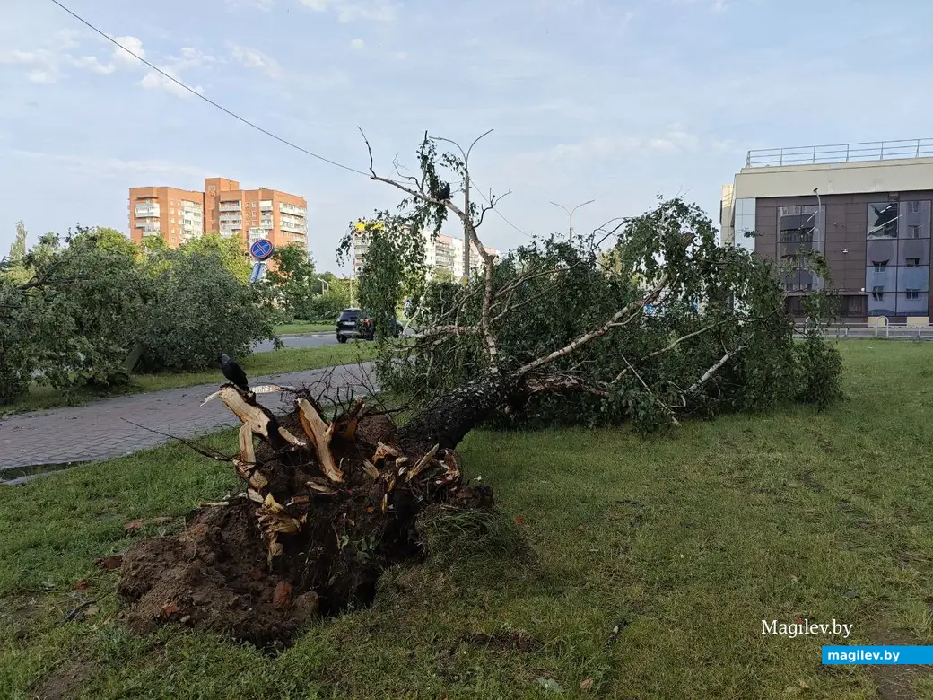 10 июля 2025 года. Могилев. Бульвар Непокоренных.