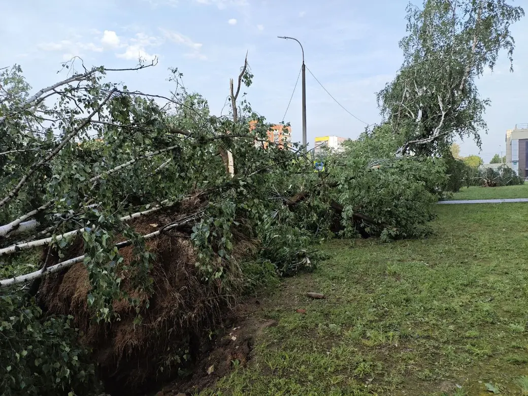 10 июля 2025 года. Могилев. Бульвар Непокоренных.