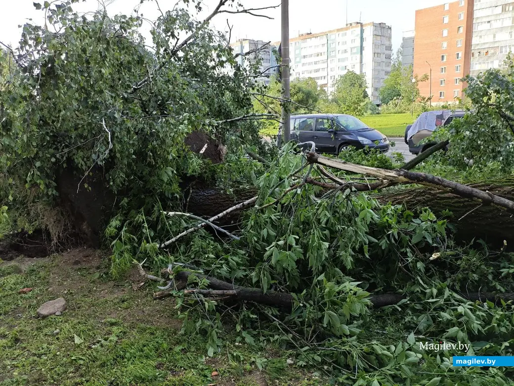 10 июля 2025 года. Могилев. Бульвар Непокоренных.